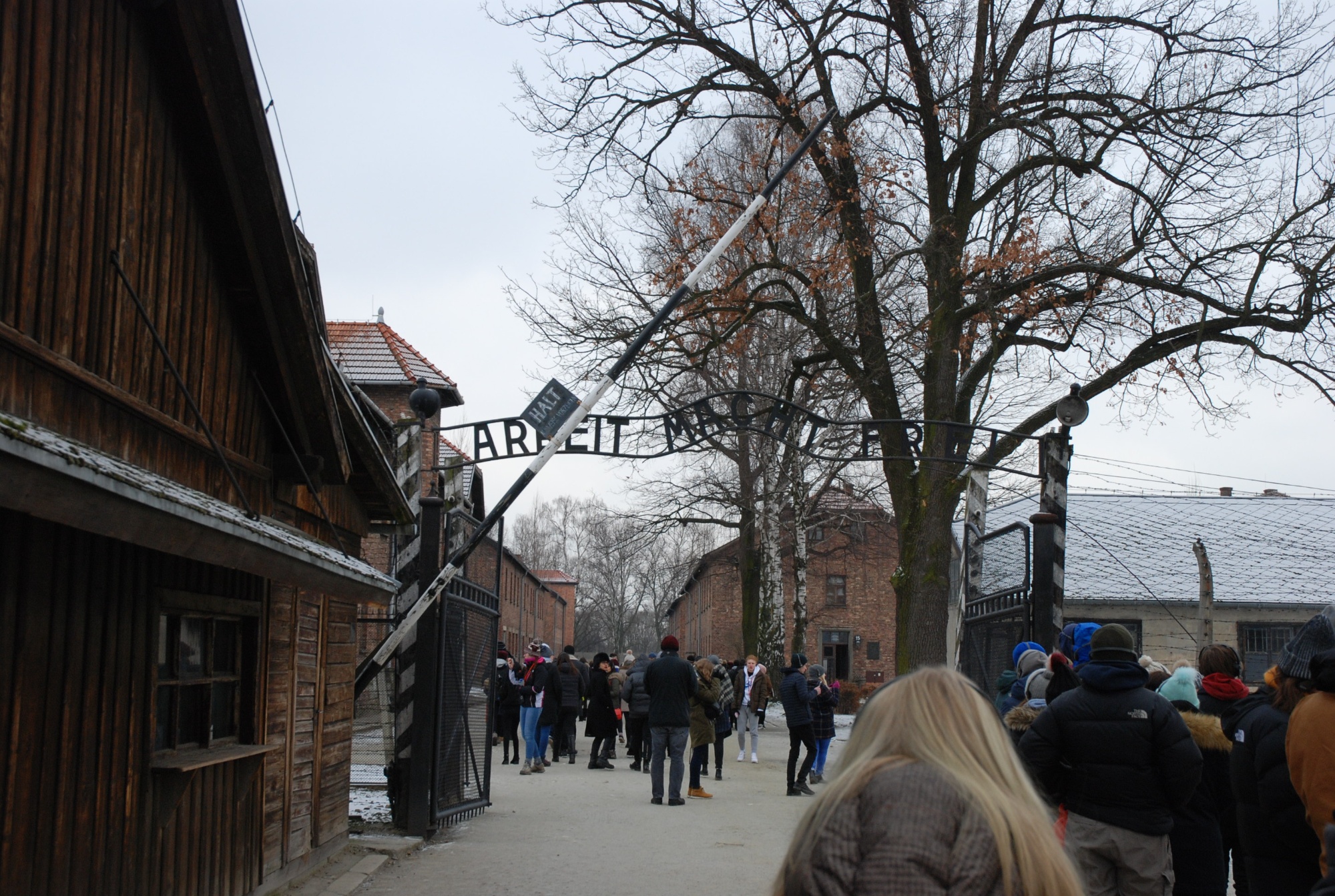 Auschwitz photo