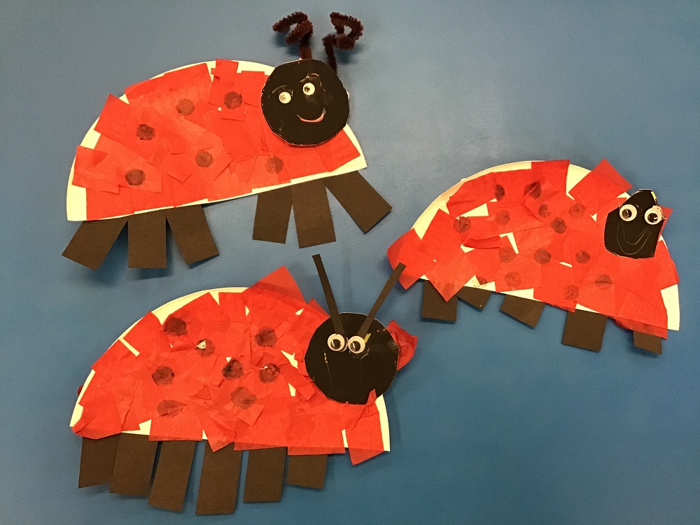 Ladybird craft