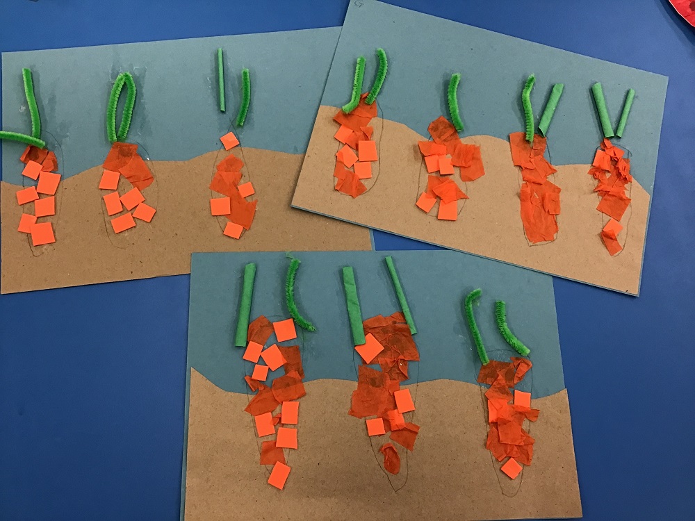 Carrot craft